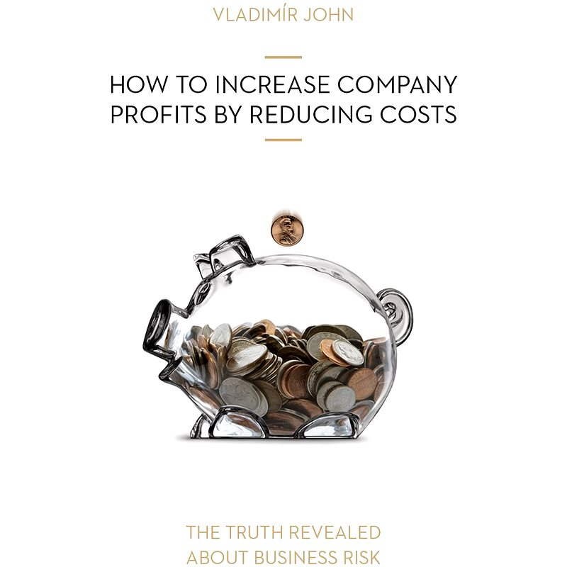 How to Increase Company Profits by Reducing Costs - Vladimír John