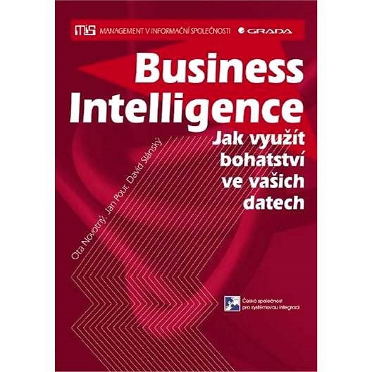Business Intelligence - David Slánský