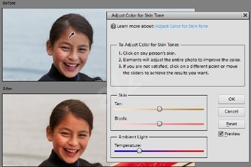 adobe photoshop elements 14 license