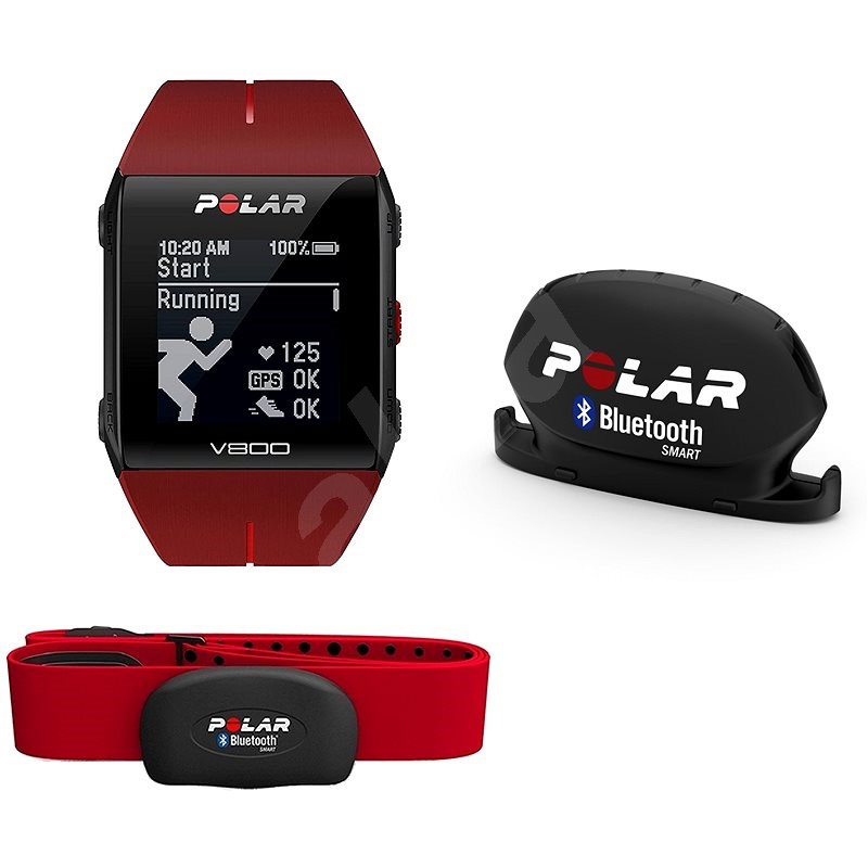 polar equine v800