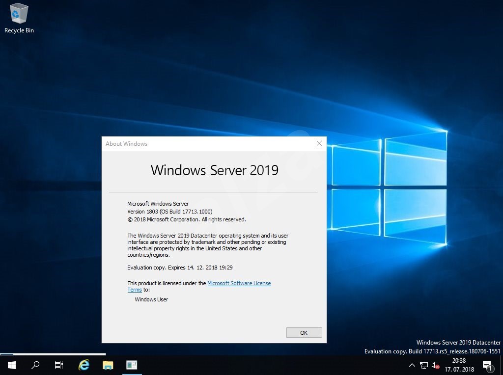 windows server 2019 terminal services manager