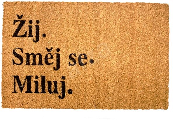 HOME ELEMENTS Rohožka s originálním textem, Žij, směj se, miluj, 40x60 cm -  Rohožka | Alza.cz