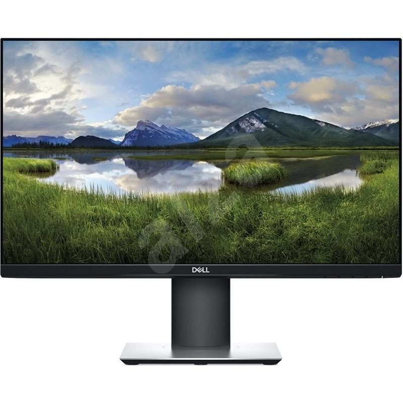 23" Dell P2319HE Professional - LCD monitor
