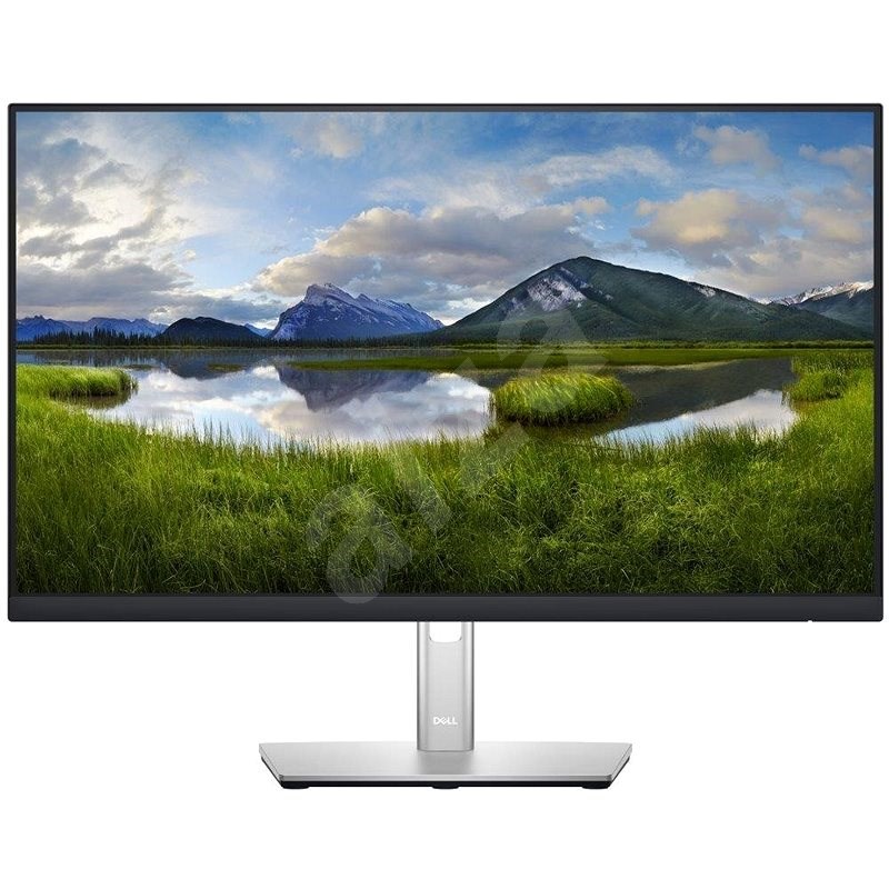 23.8" Dell P2422H Professional - LCD monitor