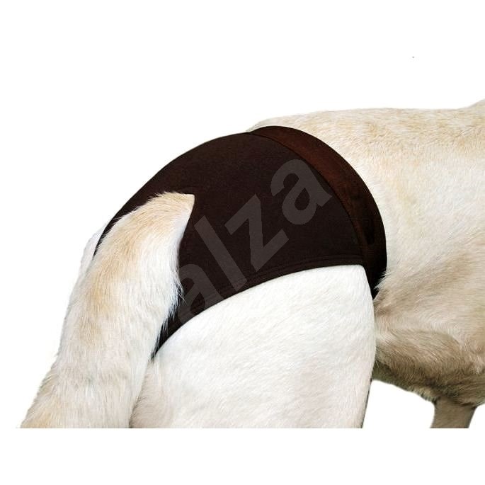 Karlie-Flamingo Female Dog Season Pants, Black, M, 32-39cm - Protective Dog Pants