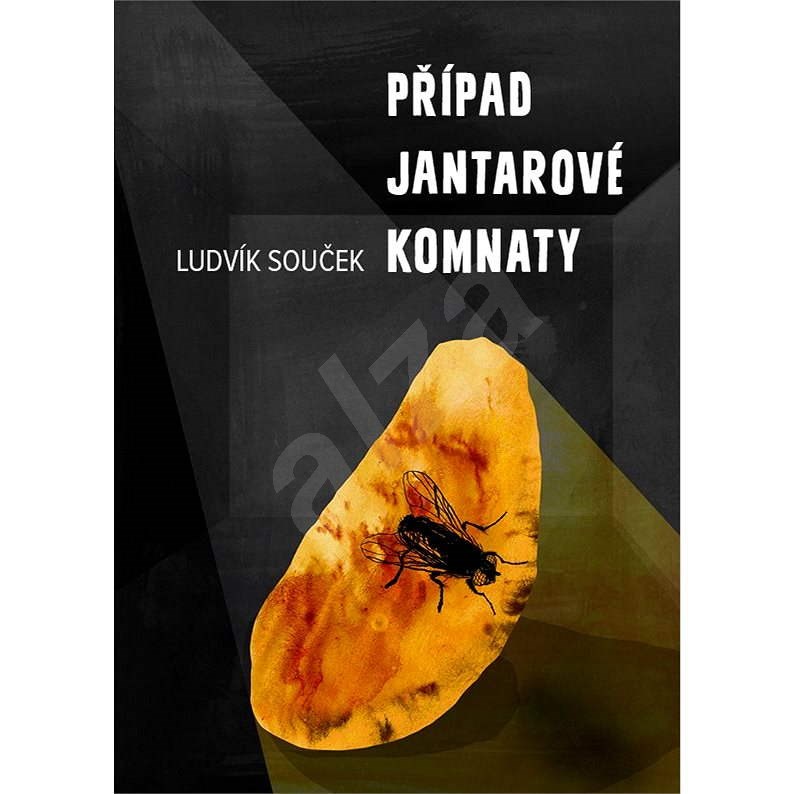 Případ Jantarové komnaty - Ludvík Souček
