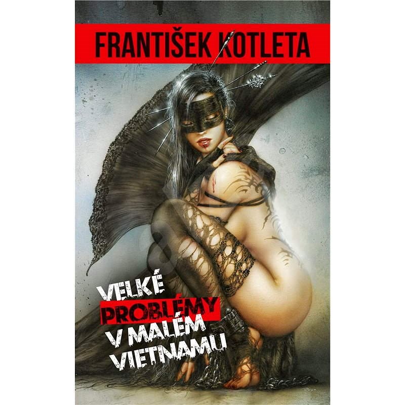 Velké problémy v Malém Vietnamu - František Kotleta
