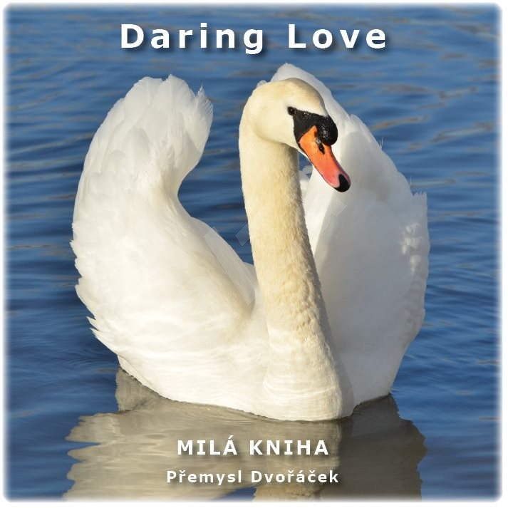 Daring Love - Přemysl Dvořáček