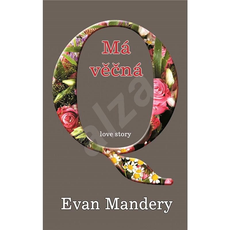 Má věčná Q - Evan Mandery