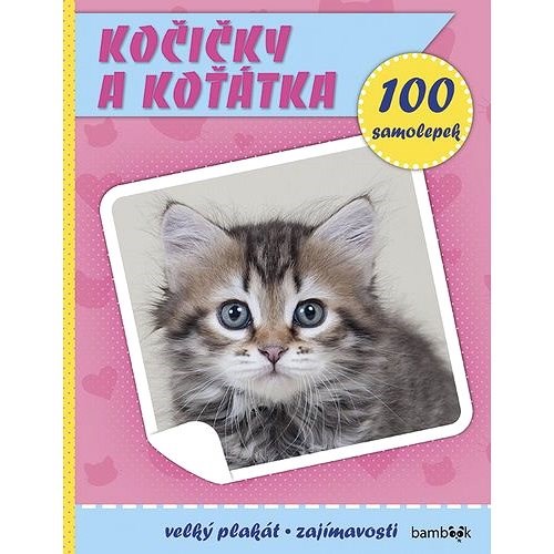 Kočičky a koťátka: Plakát a 100 samolepek - 