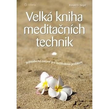 Velká kniha meditačních technik: Jednoduchá cvičení pro každodenní problémy - Ronald D. Siegel