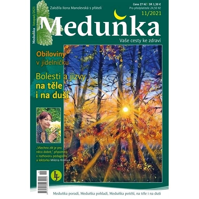 Meduňka - 11/2021 - Elektronický časopis