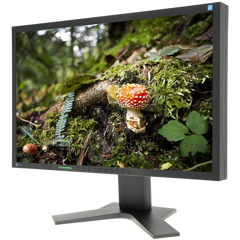 22" EIZO S2202WHA-BK EcoView - LCD monitor