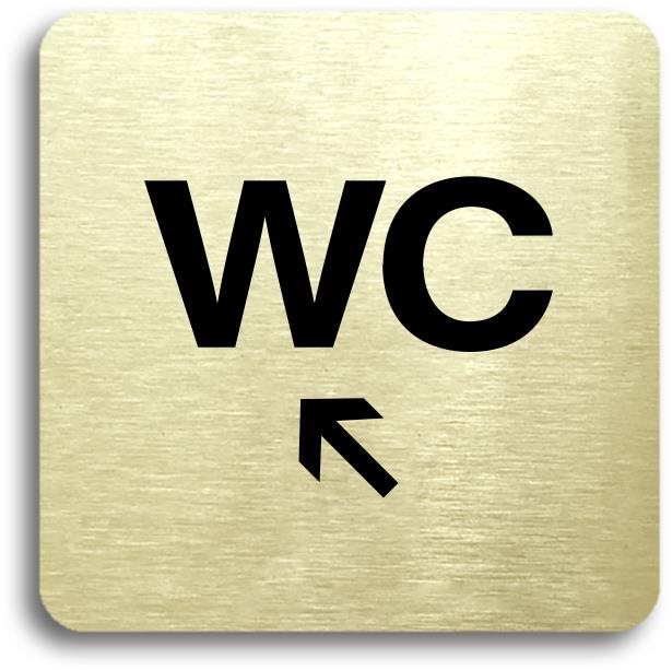 Accept Piktogram "WC vlevo nahoru" (80 × 80 mm) (zlatá tabulka -...