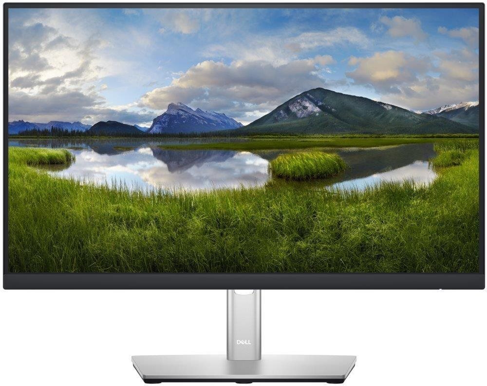21.5" Dell P2222H Professional LCD monitor