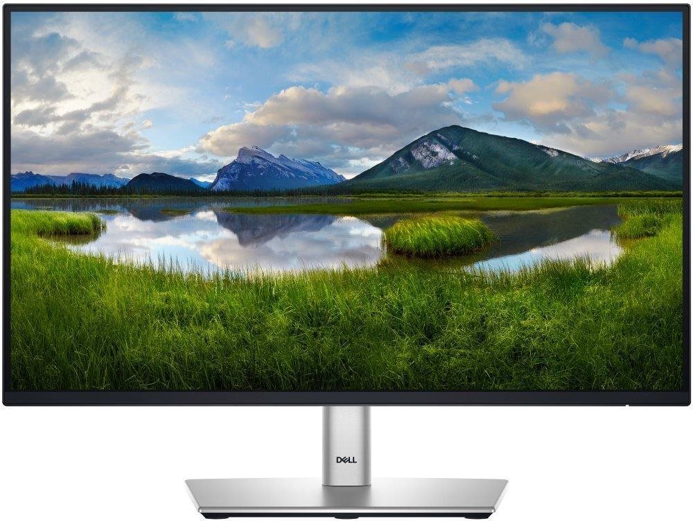 22" Dell P2225H Professional LCD monitor
