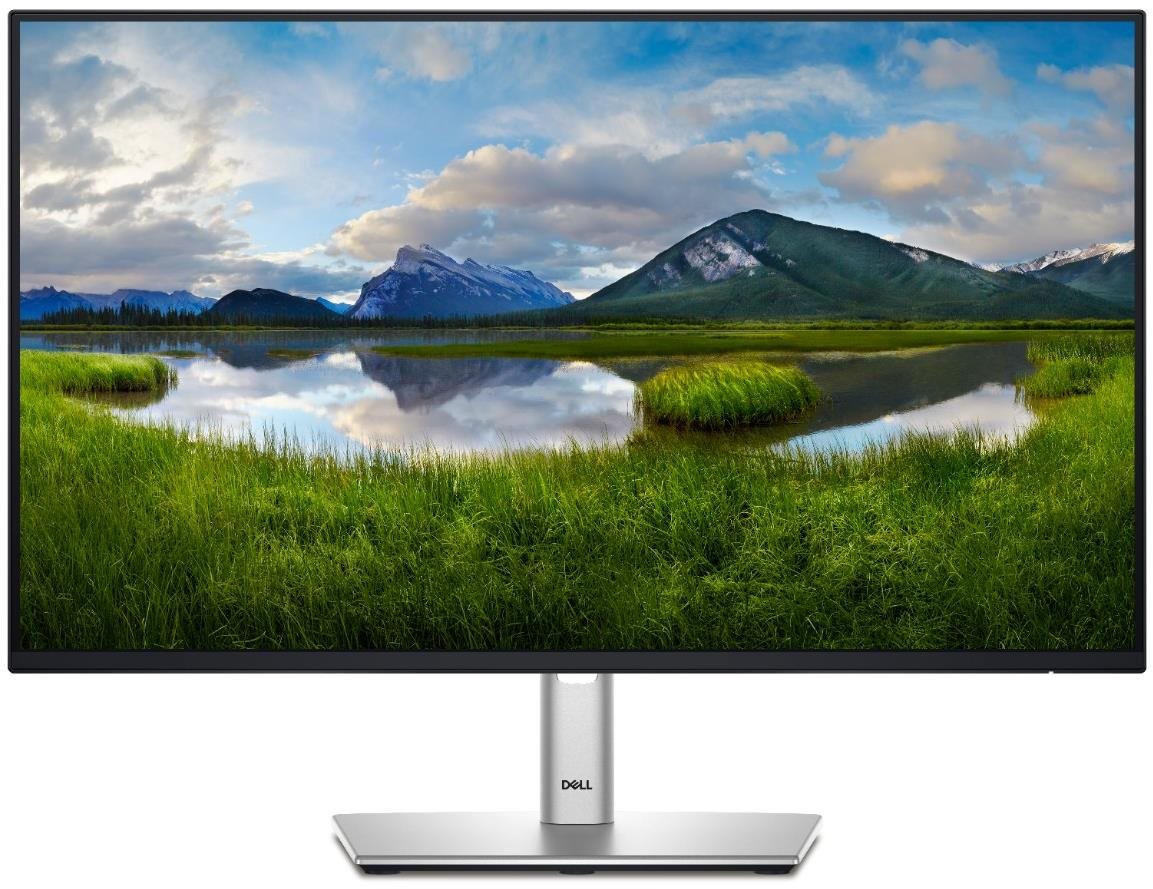24" Dell P2425H Professional LCD monitor