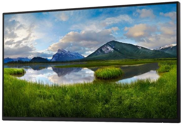 24" Dell P2425H Professional - Ohne Ständer LCD Monitor