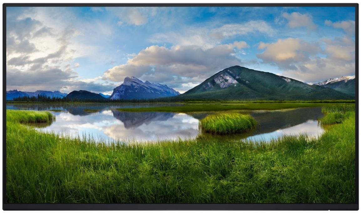 24" Dell P2425HE Professional – Bez stojana LCD monitor