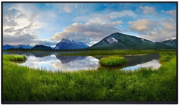 27" Dell P2725H Professional – Bez stojana LCD monitor
