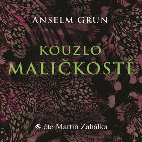 Kouzlo maličkostí Audiokniha MP3