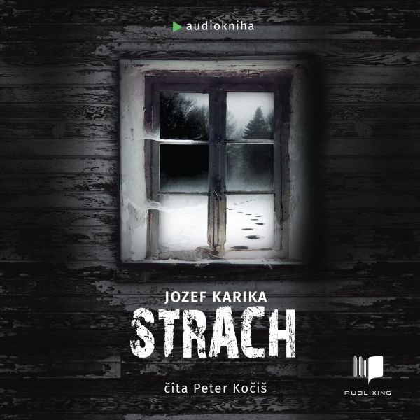Strach Audiokniha MP3