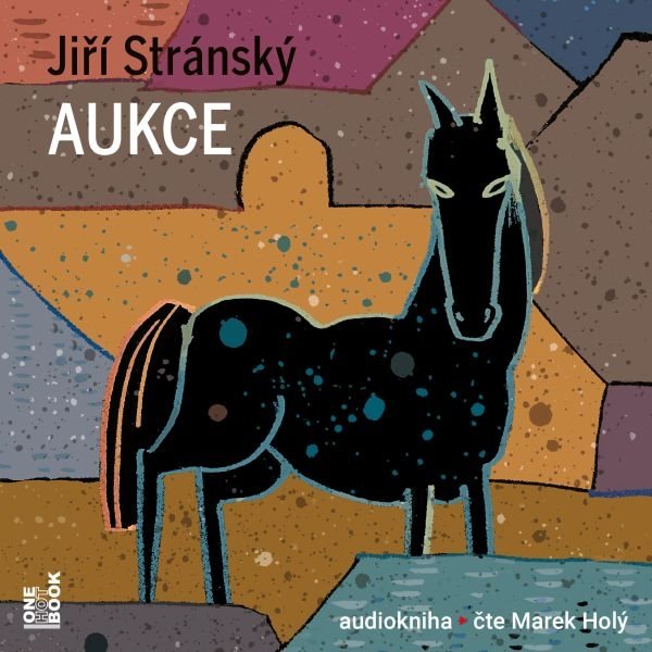 Aukce Audiokniha MP3