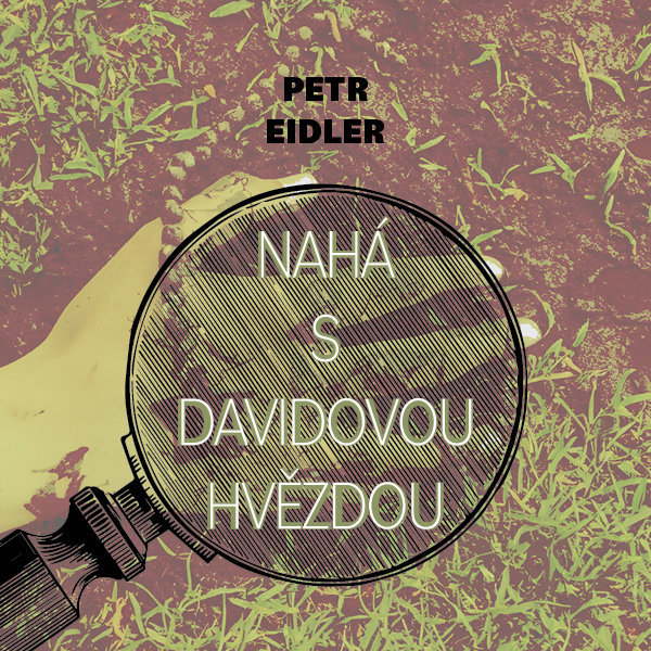 Nahá s Davidovou hvězdou Audiokniha MP3