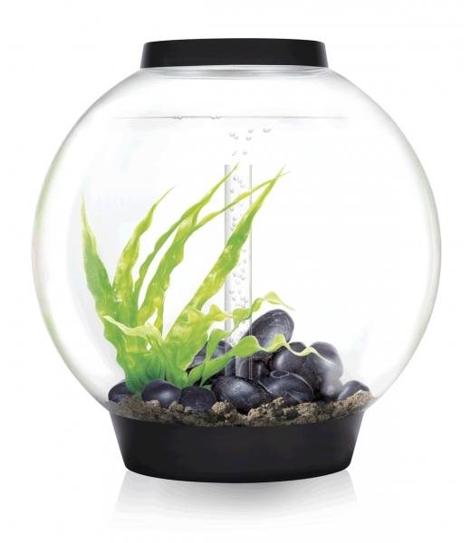 biOrb Classic 60 LED čierna Akvárium