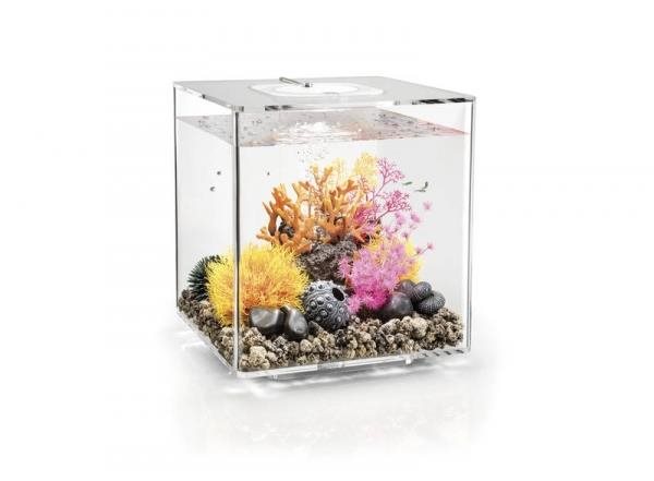 biOrb Cube 30 MCR priehľadná Akvárium
