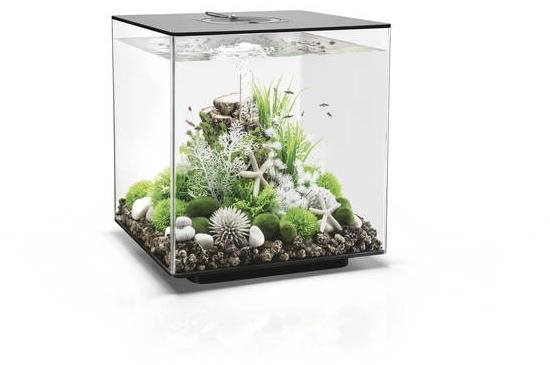 biOrb Cube 60 LED čierna Akvárium