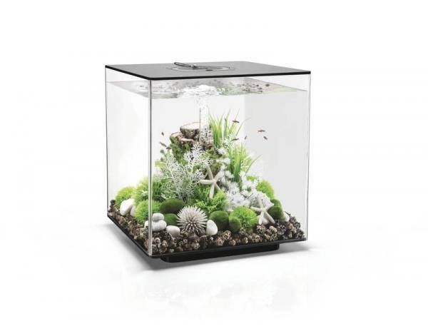 biOrb Cube 60 MCR čierna Akvárium