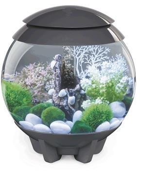 biOrb Halo 15 MCR sivé Akvárium