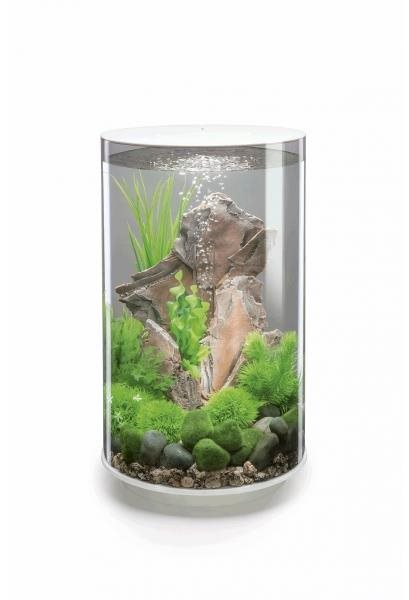 biOrb Tube 30 MCR biele Akvárium