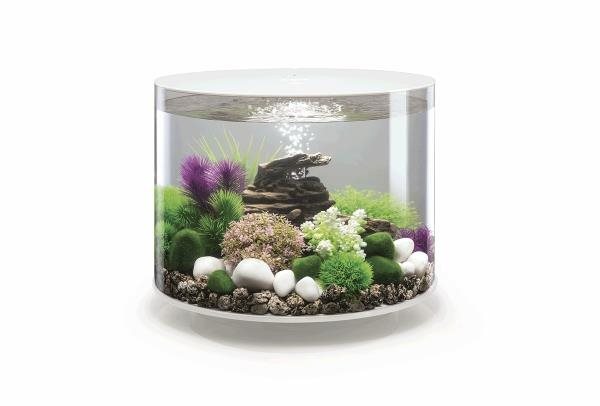 biOrb Tube 35 LED biele Akvárium