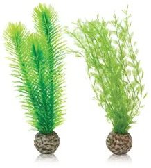 biOrb Feather fern sada S zelená Dekorácia do akvária