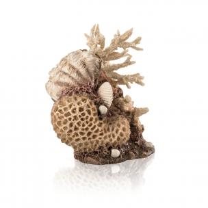 biOrb coral-shells ornament prírodný Dekorácia do akvária