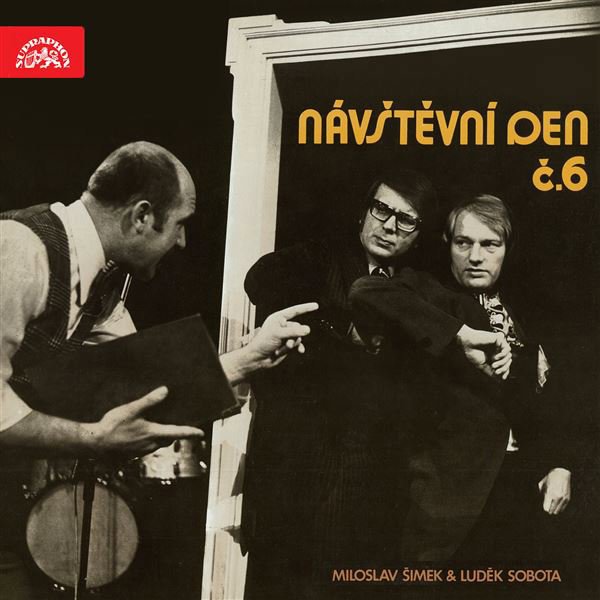 Návštěvní den č. 6 Audiokniha MP3