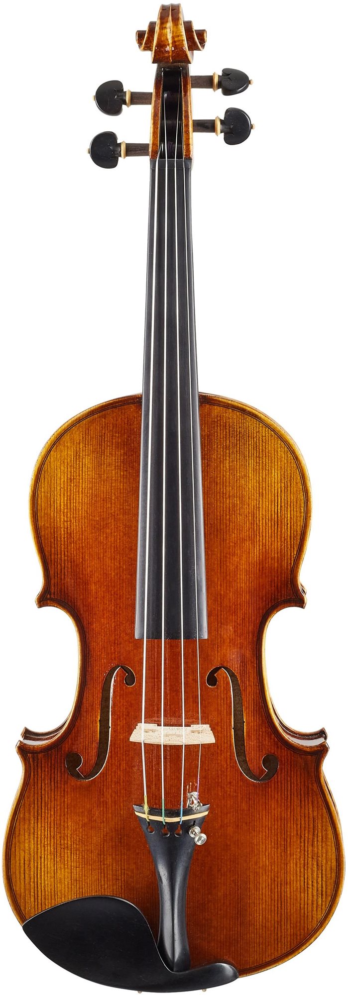 BACIO INSTRUMENTS AVA100S Geige
