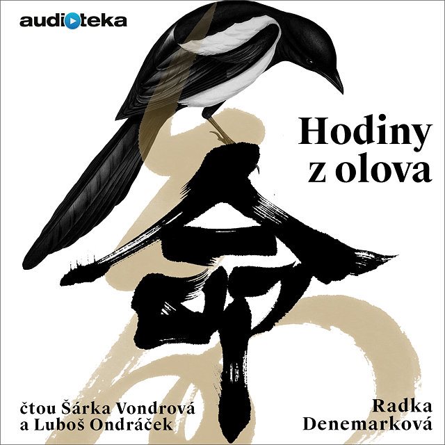Hodiny z olova Audiokniha MP3