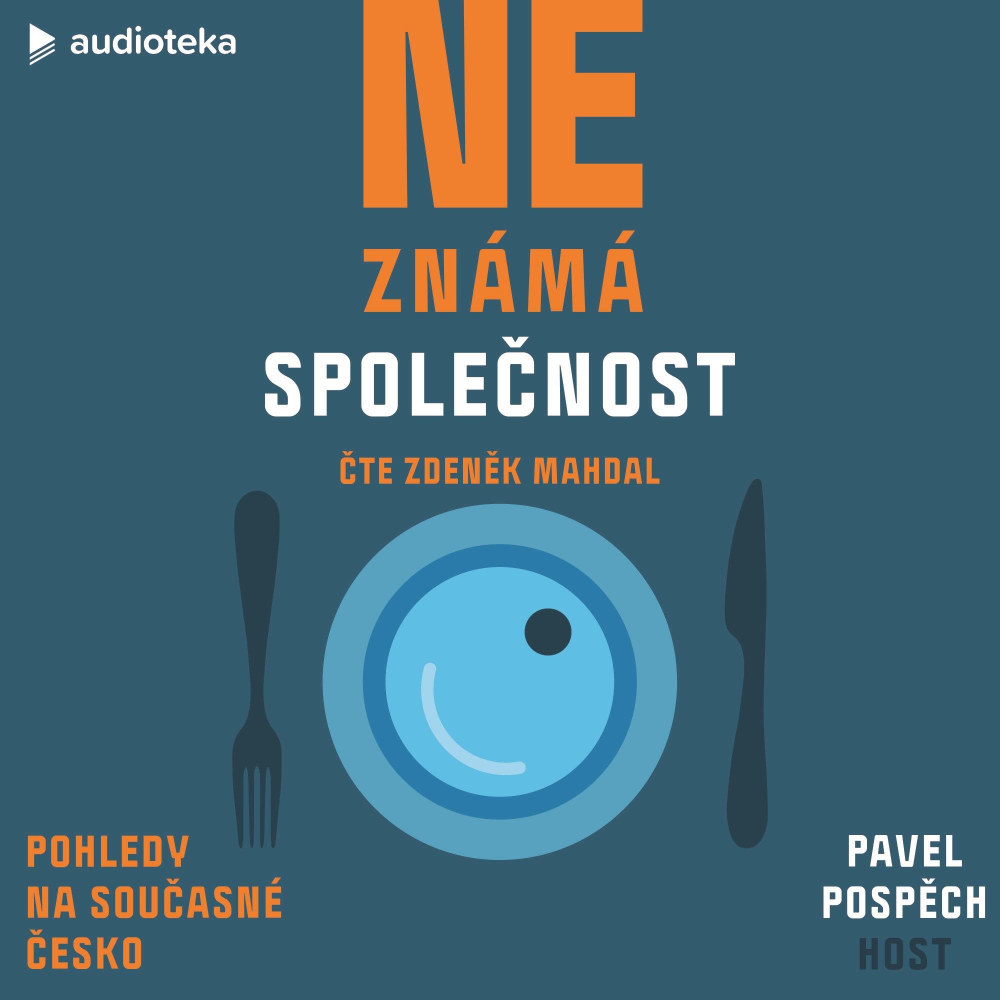 Neznámá společnost: Pohledy na současné Česko Audiokniha MP3