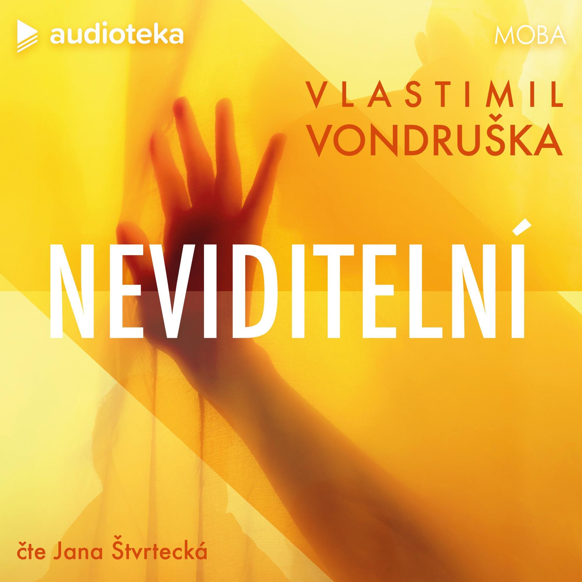 Neviditelní Audiokniha MP3