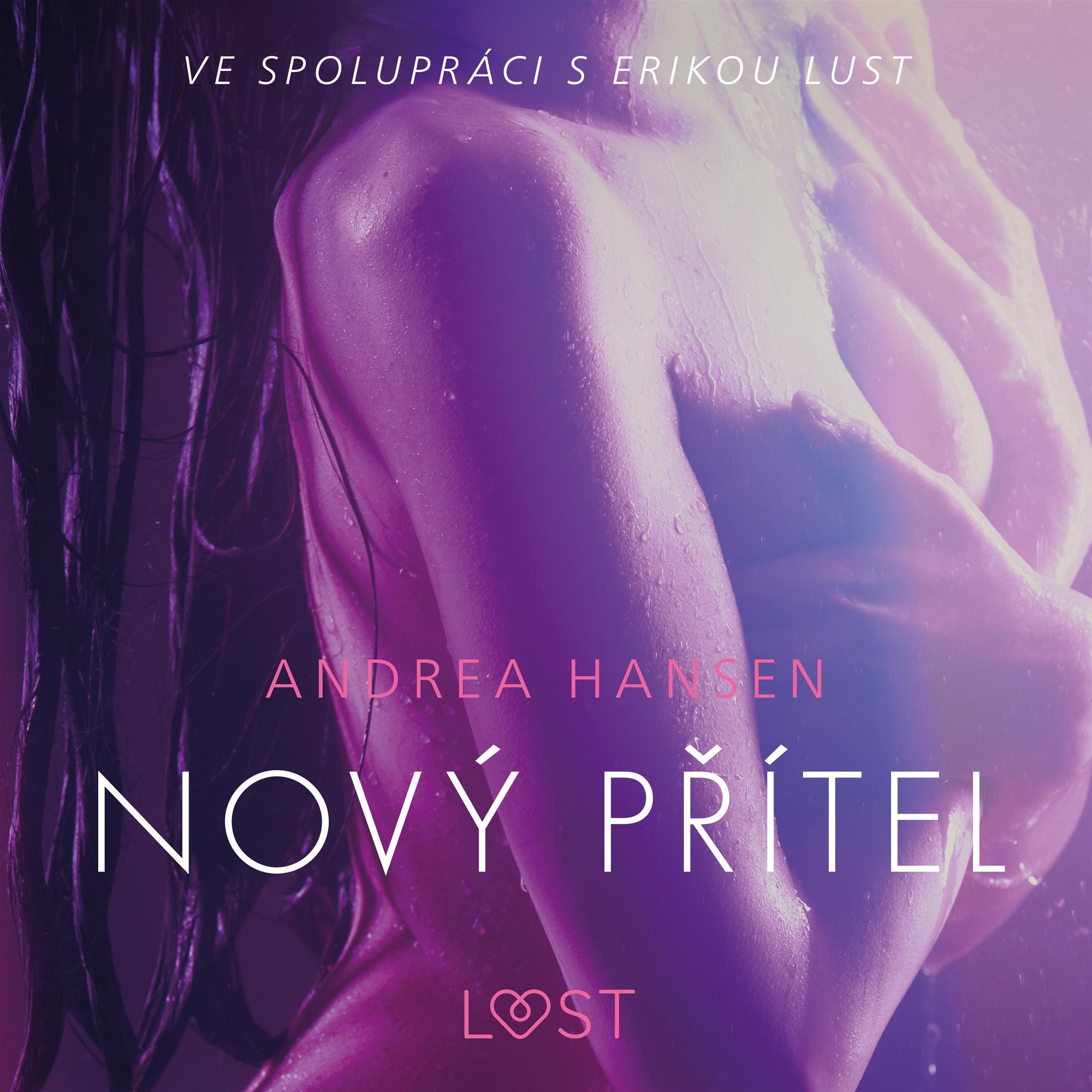 Nový přítel Audiokniha MP3