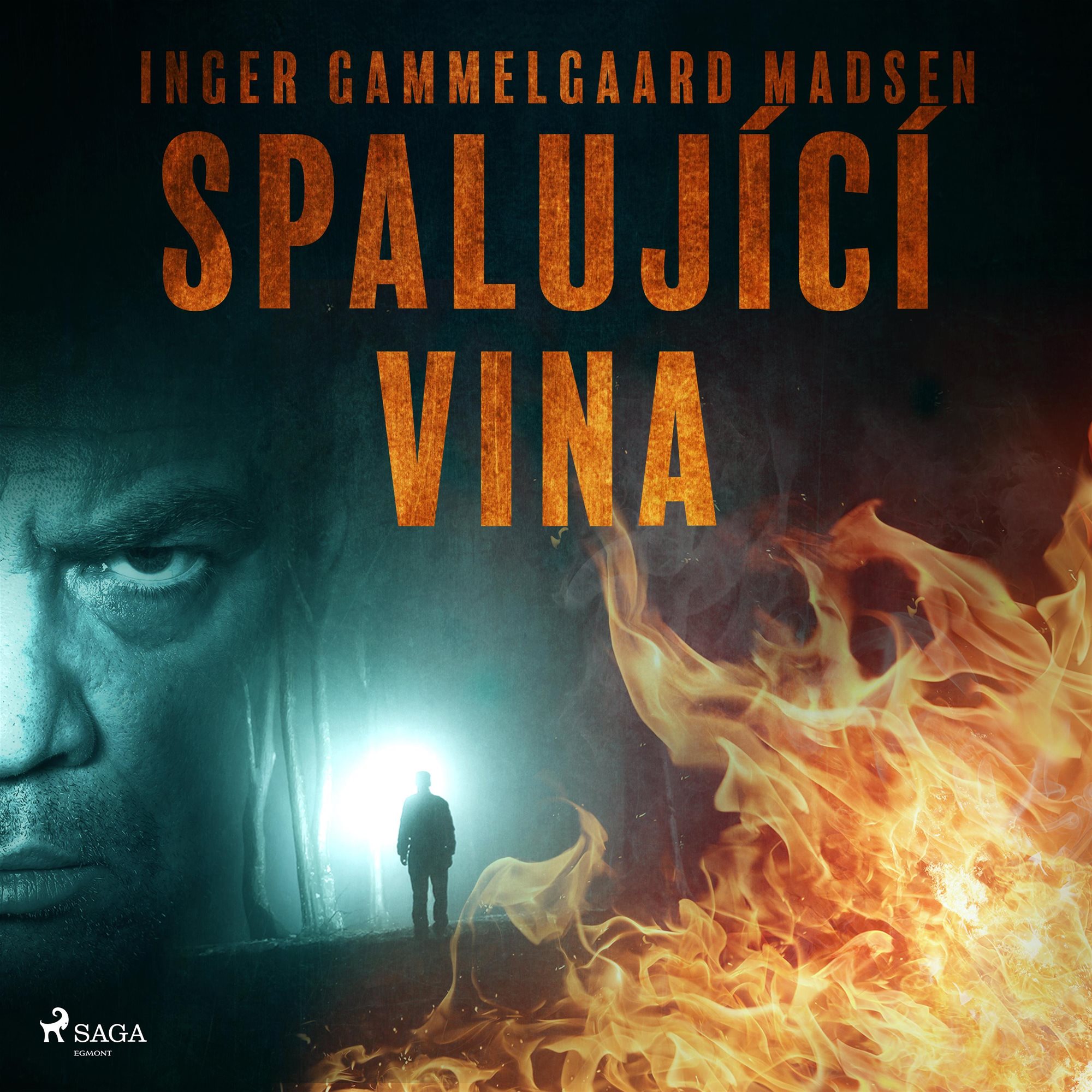 Spalující vina Audiokniha MP3
