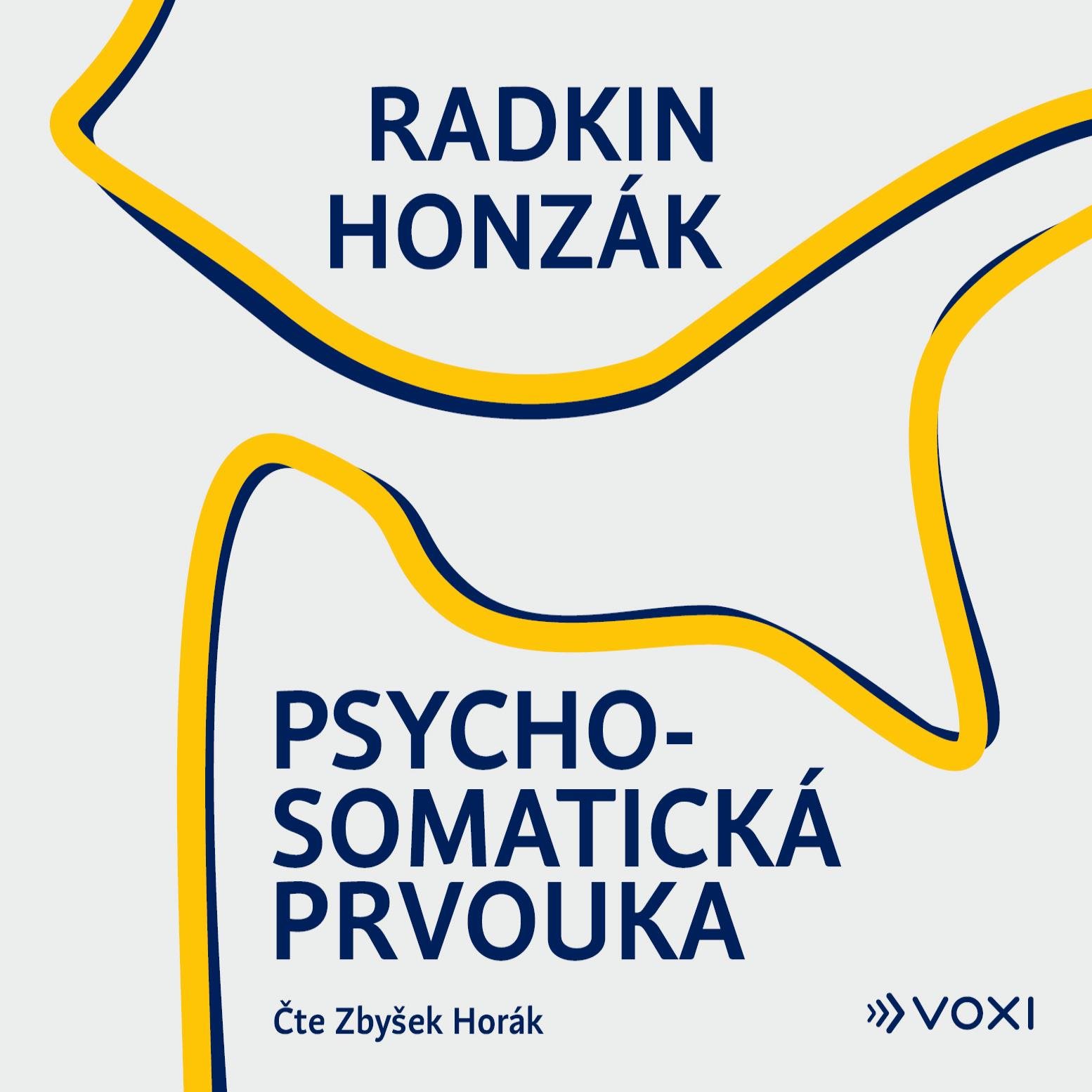 Psychosomatická prvouka Audiokniha MP3