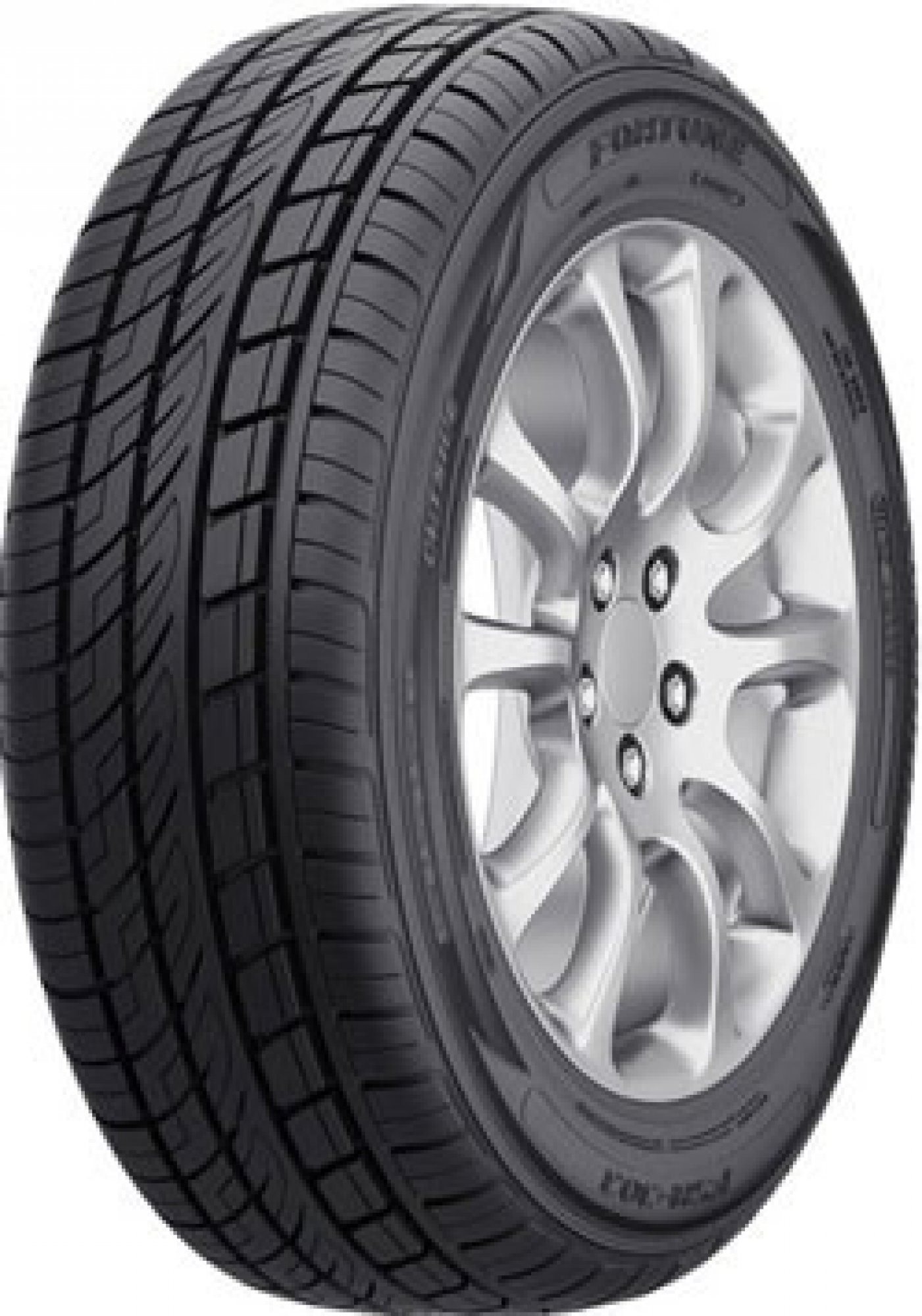 Fortune FSR303 255/45 R20 105 Y XL Letná pneumatika