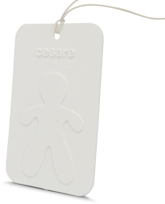 Mr&Mrs Fragrance Cesare Scented Cards Fresh Air Autóillatosító