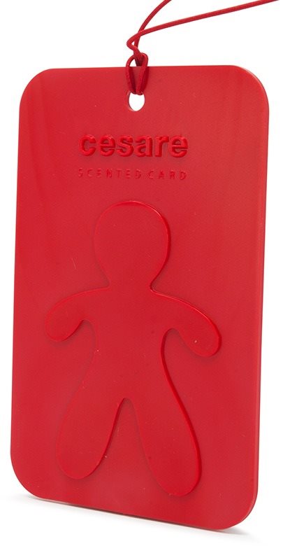 Mr&Mrs Fragrance Cesare Scented Cards Peppermint Autóillatosító