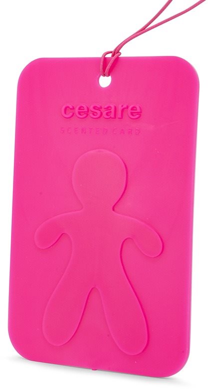 Mr&Mrs Fragrance Cesare Scented Cards Citrus & Musk Autóillatosító