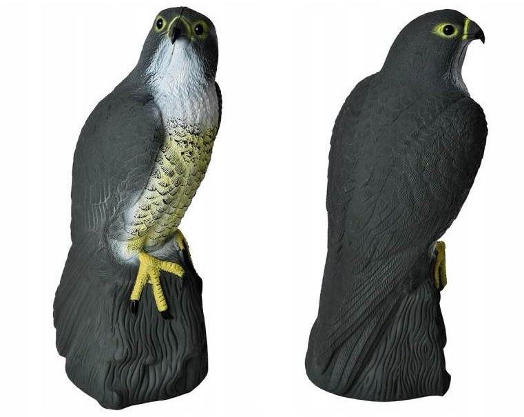 ISO 6240 Sokol 40 cm Plašič